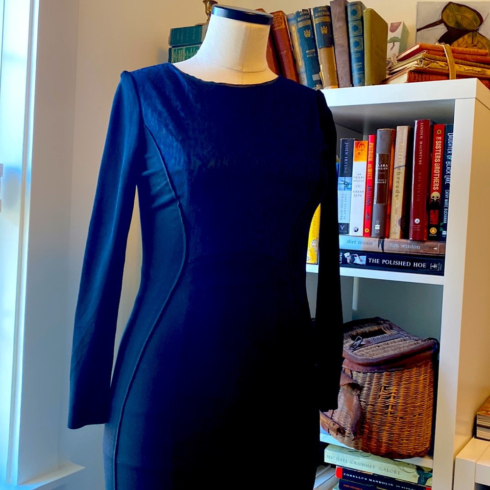 🔥 Designer Alert! Elie Tahari body con dress